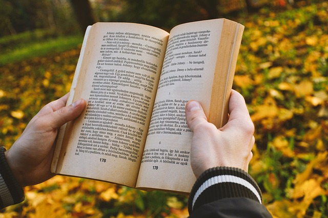 What the Data Doesn't Tell You — 90k-Word Novel in Claude