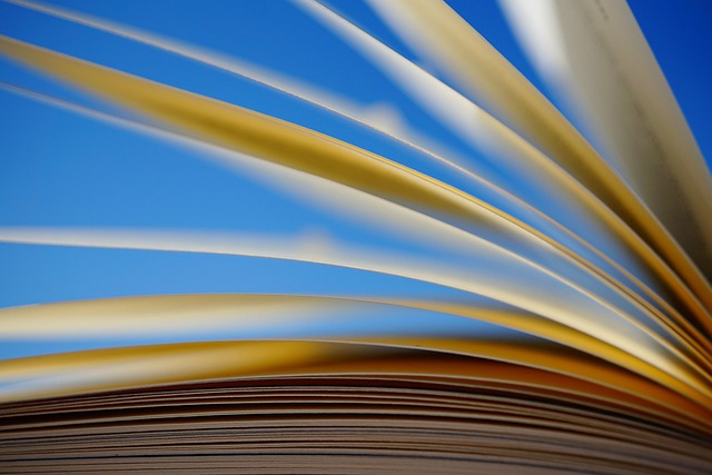Benchmark Receipts — 90k-Word Novel in Claude