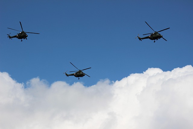 airshow the army the military aircraft helicopter flight sync