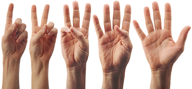 What the Data Doesn't Tell You — Accounts Payable Fraud Checks