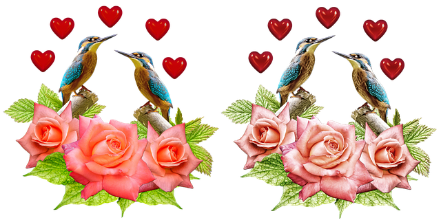 kingfisher roses hearts isolated cut out transparent valentine s day romance kingfisher kingfisher kingfisher kingfisher kingfis