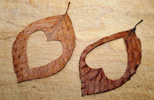 heart cut out valentine s day feeling couple symbols nature
