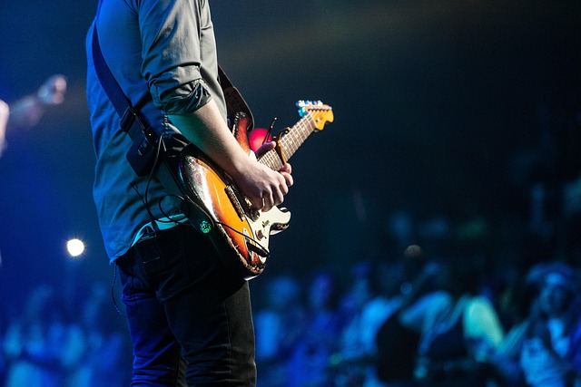 audience concert guitar guitarist man music musical instrument musician people performance string instrument concert concert co