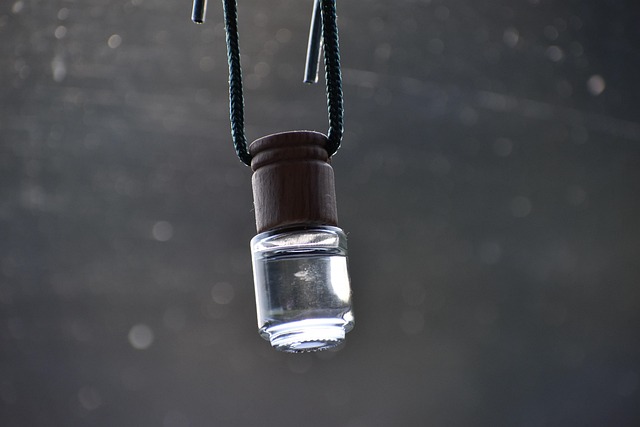 car freshener air freshener hanging diffuser car freshener car freshener air freshener air freshener air freshener air freshener ai
