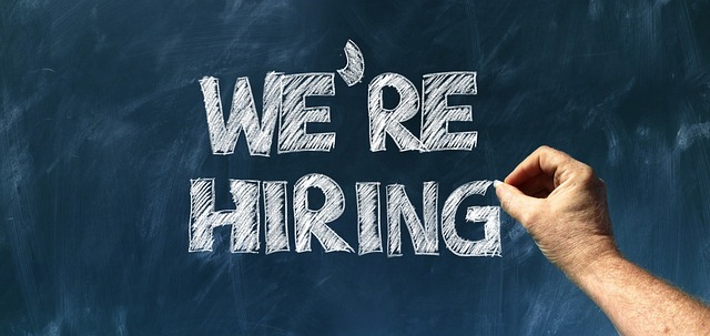 Options compared: document vs defend — AI Hiring Bias Audits