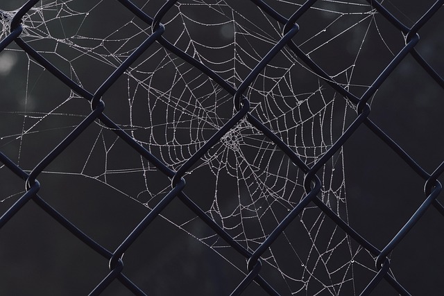 Worked Case — AI Netting Cuts FX Hedge Notional