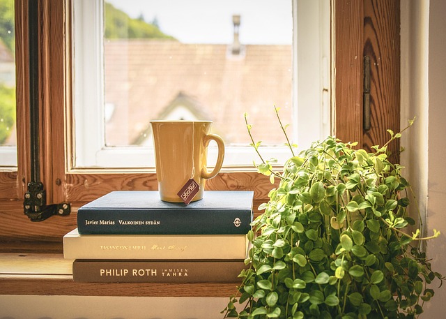 book read tee literature window sill houseplant window frames novel home apartment cup book book book book home home home