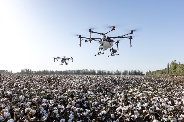 agriculture drone dji agriculture dji farming farmland plant protection drone plant protection extremely fly cotton cotton fields