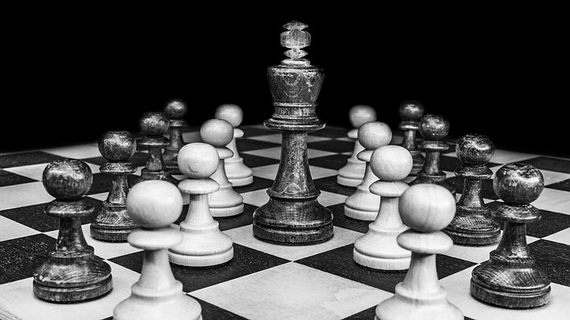 chess king chess pieces pawns chess game figures play strategy playing field black and white checkered chess championship chess