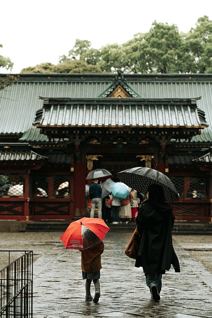 rain tree temple nature people