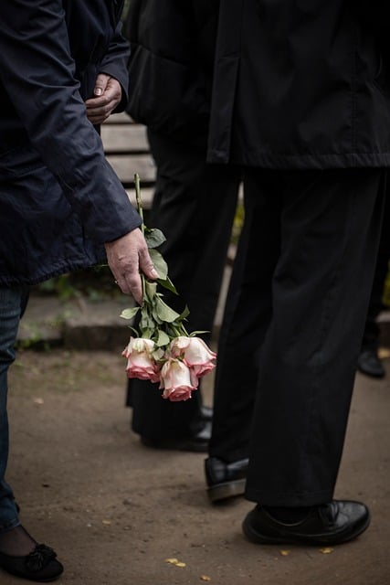 grief rose flower rose white fall funeral farewell sorrow