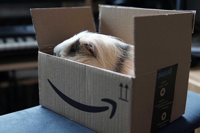 What Chase, Affirm and CFPB Report — Amazon checkout payment options
