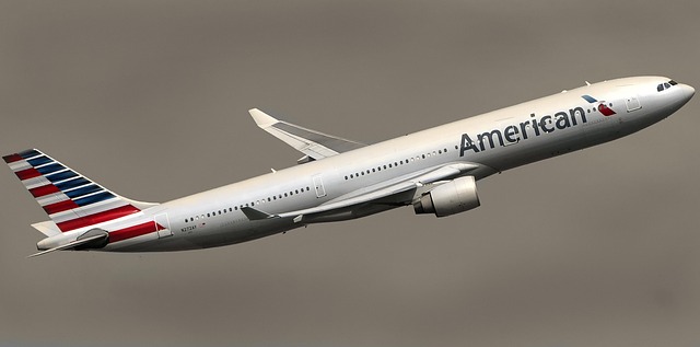 Repack or Pay at 51 LB — American Airlines Checked Bag Weight