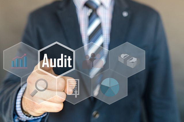audit inspection examination accounting auditor financial document research verify review investigation tax analysis assessment