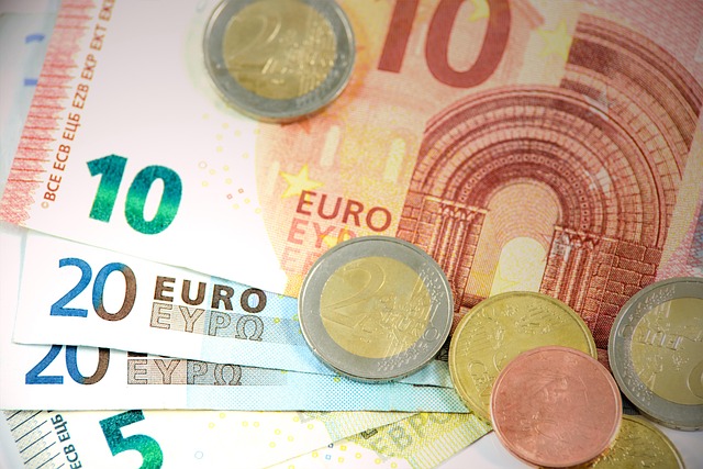 euro money currency european the background loan cash crisis economy business pool coins europe bank note finances the market
