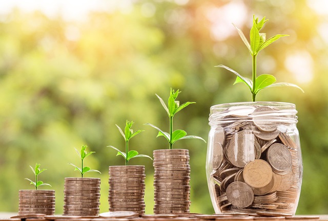 money coin investment business finance bank currency loan cash mortgage banking wealth value buy savings success growth inv
