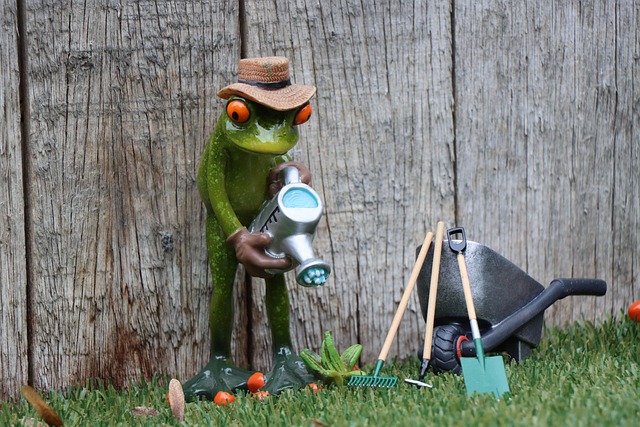 casting gardening gardener nature garden service garden maintenance work workplace spade put watering can garden subscription ho