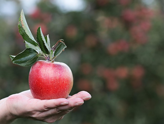 Insider Tactics — Apple One 2026 Price Hike