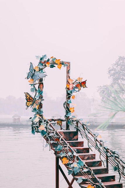 buttterfly nature door lake park stairs decoration
