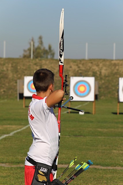 archer sagittarius bow the silhouette warrior hunter shooters weapon archers archer archer archer archer archer sagittarius s