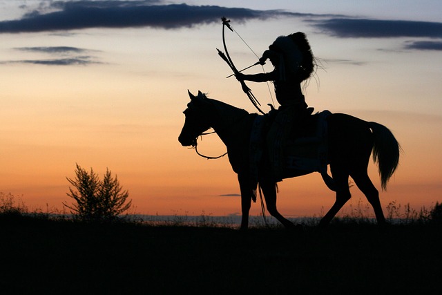 horse silhouettes nature horse back riding sunset backlighting bow saddle