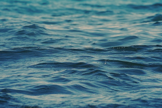 water waves ocean sea beach baltic sea nature lake wind wave