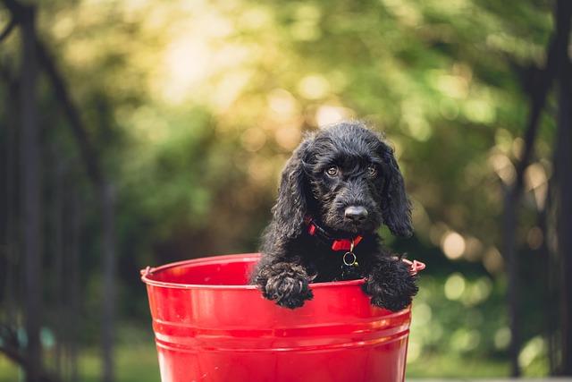 What the First Post-Adoption Cycle Actually — ASU 2023-07