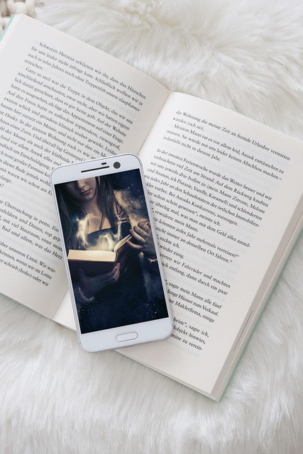 What the Evidence Does Not Establish — Automated Ebook Formatting