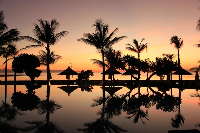 Options compared: which visa wins — Bali Indonesia visa 2026