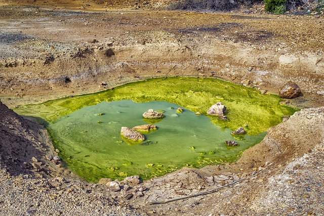 What the Evidence Does NOT Establish — Benchmark Contamination