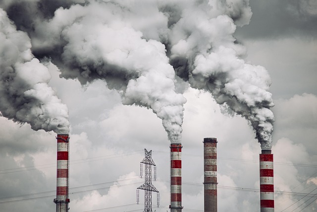 Options for Contamination Detection — Benchmark Contamination