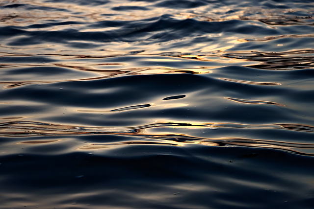 water wave outdoors nature ripple