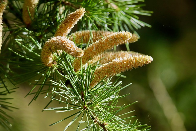 What the Data Doesn't Tell You — Big Cedar Winter 2026