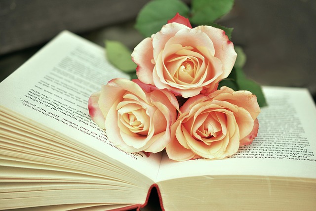 a book book pages read roses romantic literature pages paper scroll books books books books books books
