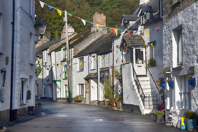 Choose the Fee-Inclusive Cap — British Property Auctions