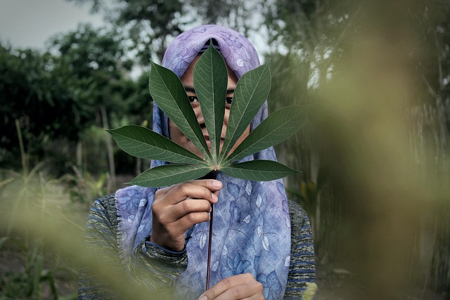 woman nature leaf veil green portrait