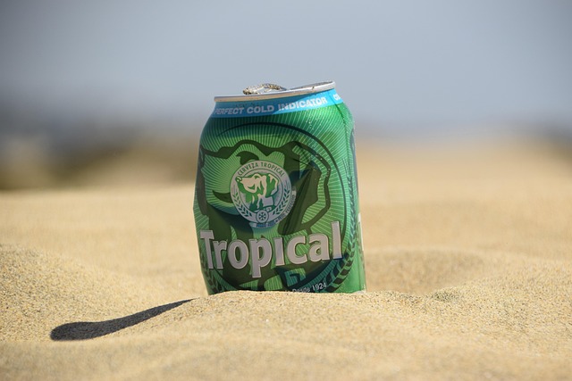 Verification Triage — Can Travelers Spot Fake Photos?