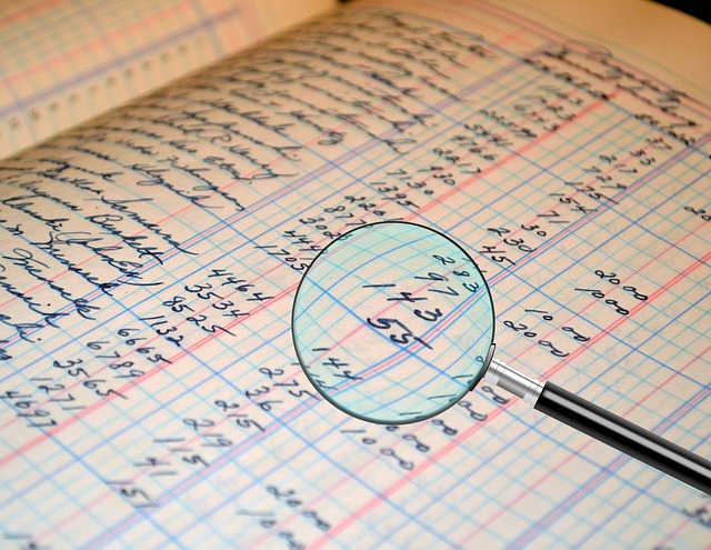 audit accounting ledger figures number document inspection review examination assessment auditor magnifying glass analysis zoo