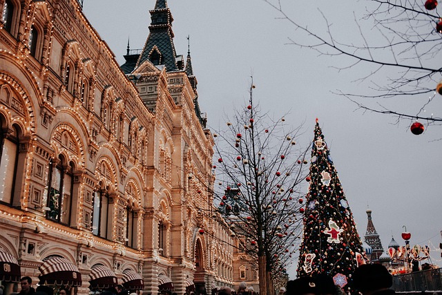 What the Data Doesn't Tell You — Christmas Historical Romance