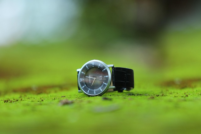 API Integration Limits — Citizen Dev Limits