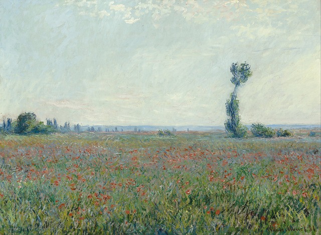 claude monet painting oil on canvas artistic flower background nature outside beautiful flowers sky clouds landscape poppies fie