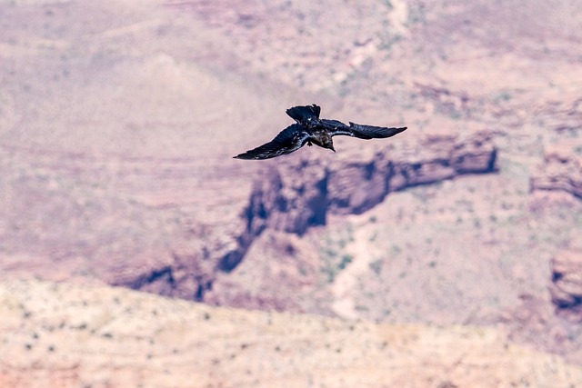 How It Works — Colorado Flight and Hotel Packages