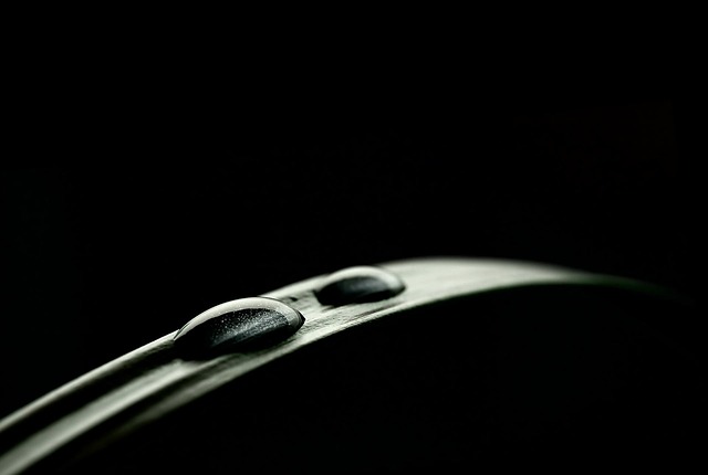 drops water nature two few leaf waterdrop