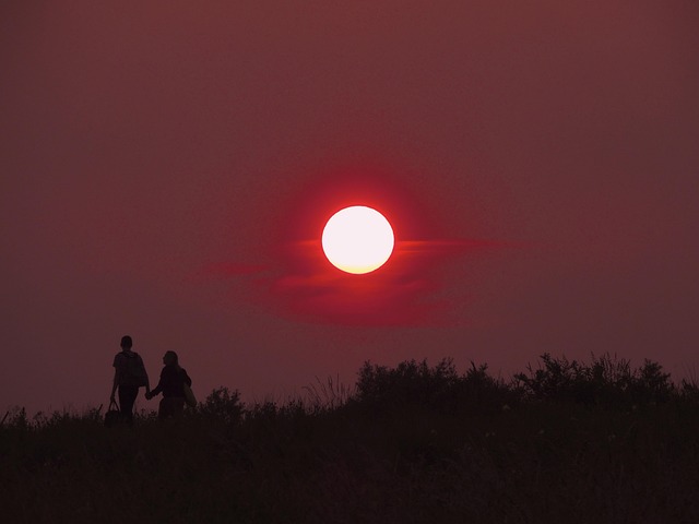 sunset red few love nature together two friendship