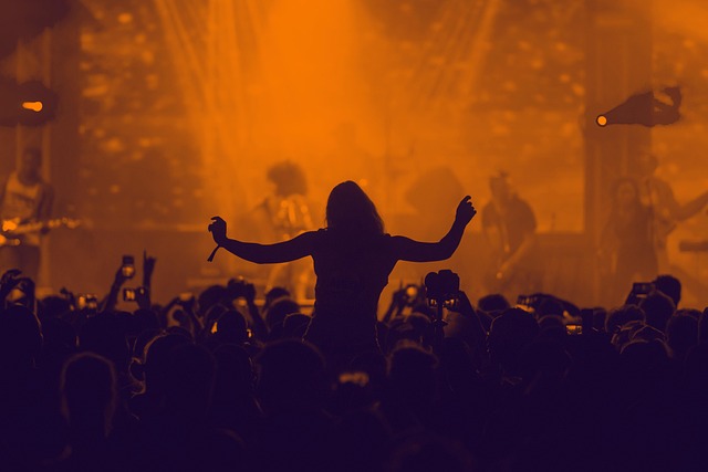 concert crowd silhouette music festival festival live performance stage performance people audience performance party concert co