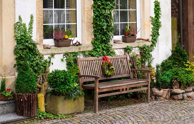 bench facade garden ivy architecture nature building front yard house