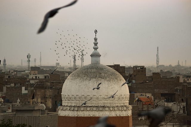 birds nature religion islam