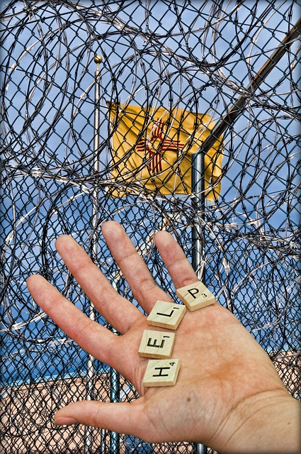 What the Data Doesn't Tell You — DAM Lockups vs Freeform
