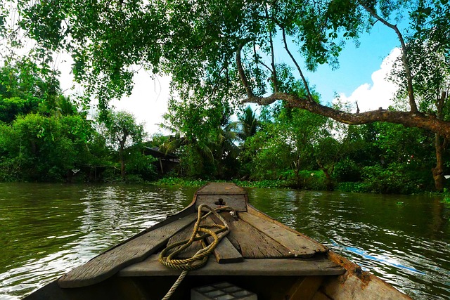 canoe rope wooden bamboo green vietnam landscape sky cloud calm alone nature mangrove delta mangrove mangrove mangrove mang