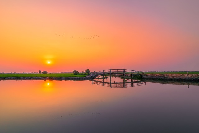 sunset tayninh vietnam countryside sky lake peaceful country landscape field tree nature clouds green summer spring river w